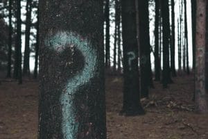 question-trees Lots of choice